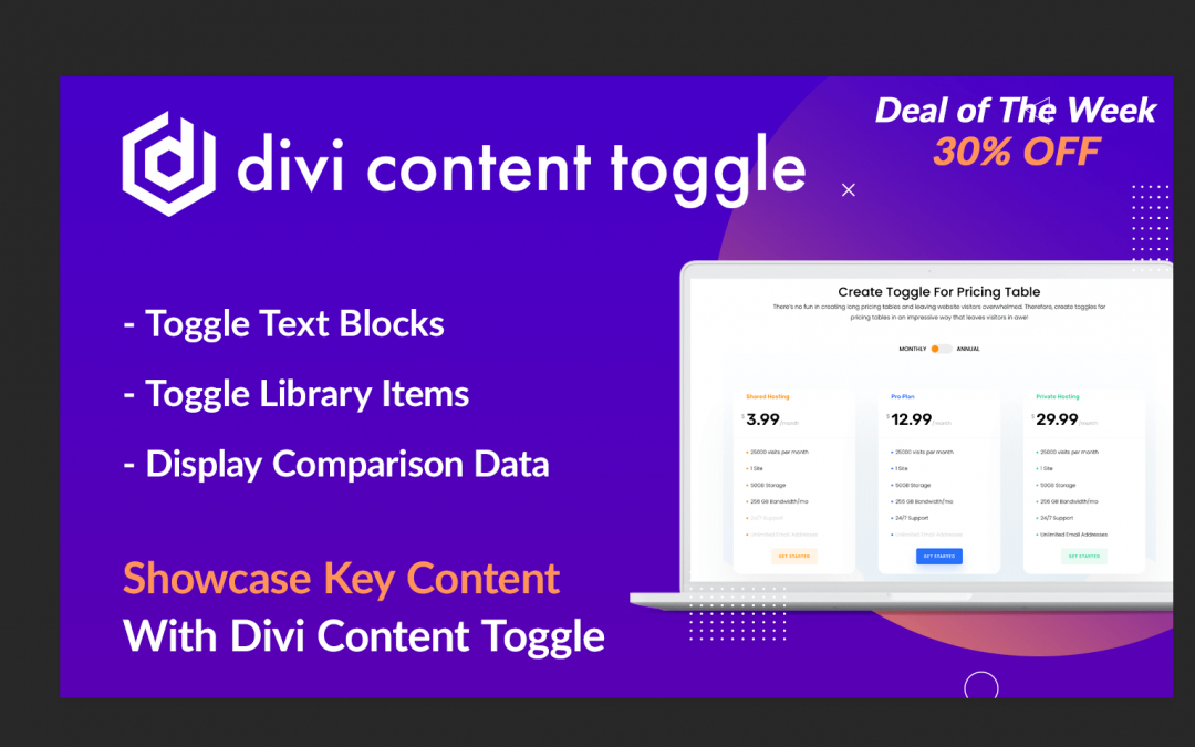 Divi Content Toggle Plugin at 30% OFF the price